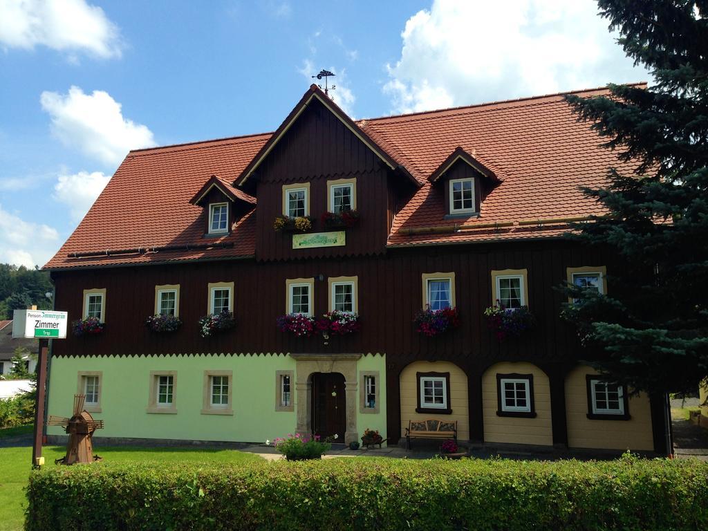 Pension Immergruen Курорт Йонсдорф Экстерьер фото
